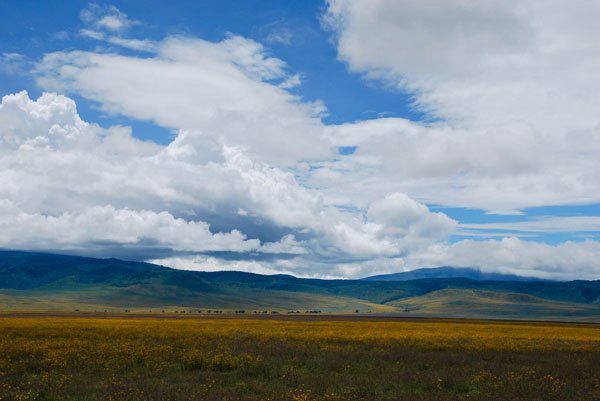 кратер Нгоронгоро