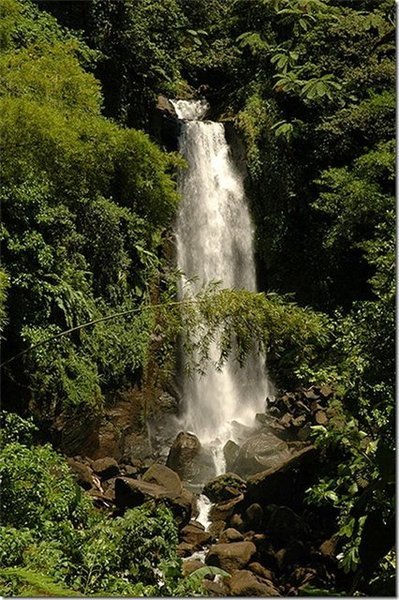 Strela. Банкноты и монеты - путешествие по свету!