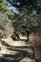 ������ � �����