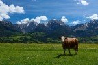 Фотопутешествие в Альпы