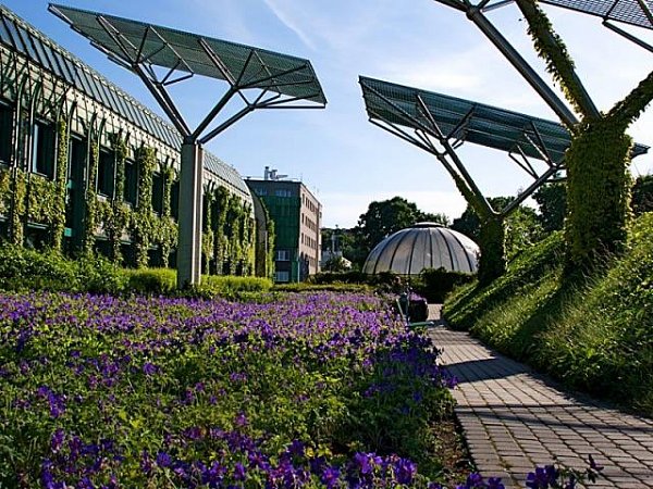 Ботанический сад в Варшаве