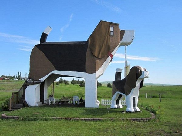 Dog Bark Park Inn, США, Айдахо