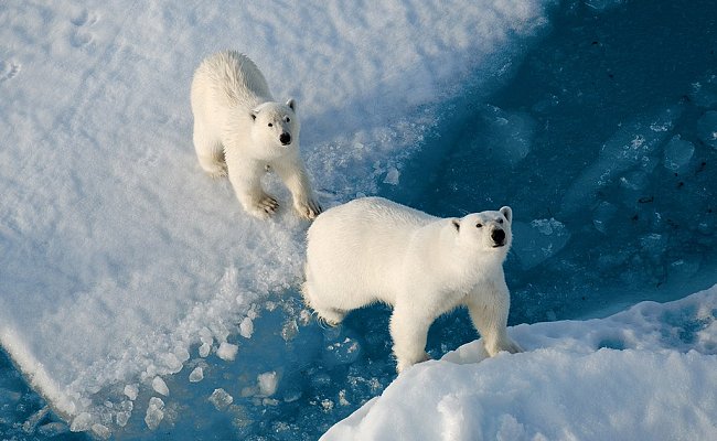 Путешествие на Северный полюс на ледоколе