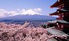Восхождение на гору Фудзи и путешествие по Японии>