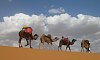 Экспедиция по Сахаре>