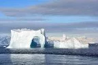 Дайвинг-экспедиция в Антарктиду