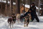 Катание на собачьих упряжках по Байкалу