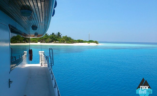 Дайвинг-тур на Мальдивы