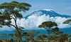 Восхождение на Килиманджаро (маршрут Marangu)>