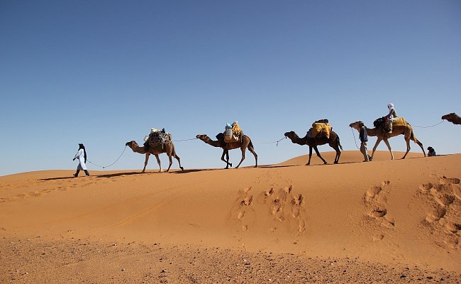 Экспедиция по Сахаре