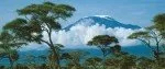 Восхождение на Килиманджаро (маршрут Marangu)